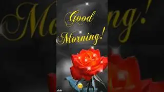 Good morning whatsapp status 🥀🥀❤️🥀🥀#shorts