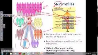 DNA fingerprinting