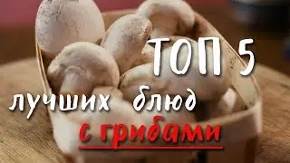 Топ 5 Лучших Блюд с Грибами. На Каждый День и на Праздничный Стол!