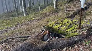 Building a SECRET SHELTER inside Big TREE - Bushcraft SURVIVAL Camping in the Rain with My Dog