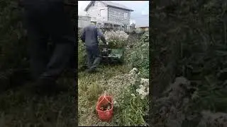 Отказался Выполнять Заказ. Покос Бурьяна Мульчером ВЕЗДЕКОС ТС-1000.