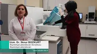 Biyokimya Laboratuvarı