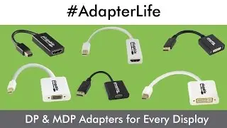 Active & Passive DisplayPort Adapters for Every Display Scenario