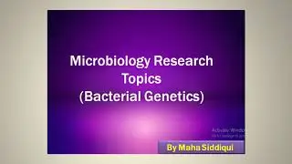 Microbiology (Bacterial Genetics) M Phil & PhD Research Topics