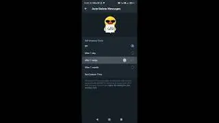 How to Automatically Delete Telegram Messages - Step-by-Step Guide