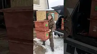 Ловушки для роевых пчел. #пчеловодство #пчёлы #сад #огород