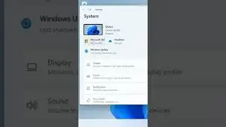 How to Turn Off Notifications on windows 11 