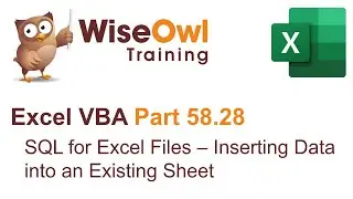 Excel VBA Introduction Part 58.28 - SQL for Excel Files - Inserting Data into an Existing Sheet