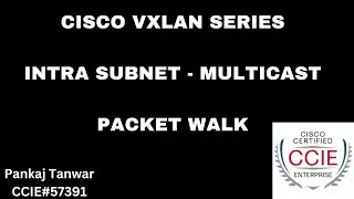 CISCO VXLAN  BUM Traffic handling using Multicast - Packet walk  CCIE 57391