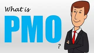 PROJECT MANAGEMENT OFFICE: What it is?