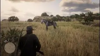 Best way to Rob People Red Dead Redemption 2