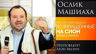 "Ослик Машиаха" - проповедует Леон Мазин