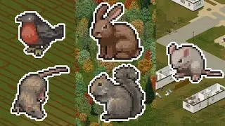 How to Catch EVERY Animal - Project Zomboid Trapping Guide