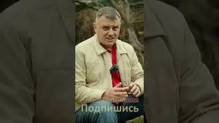 Пырей - как избавиться от сорняка?! Дачный агроном
