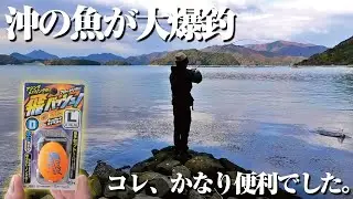 ブッ飛ばして沖の魚を釣りまくる“真冬のライトゲーム”の秘密兵器と出会った。使い勝手抜群でセットも超楽。コレなら初心者の方にもオススメだぜ。