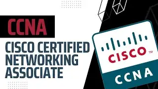 Full CCNA Certification Guide: Essential Tips and Insights for Success