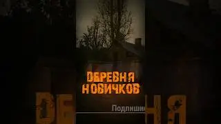 S.T.A.L.K.E.R - Деревня Новичков. Рассказчик Сидорович