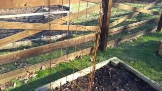 Easy tomato cage, under $8, fold flat, will last for years