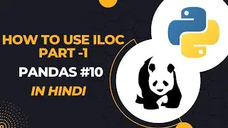 How To Use Iloc In Pandas | What Is The Use Of Iloc In Pandas | Iloc Pandas | Pandas 10 | DevSetGo