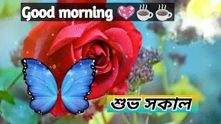 Good morning status/শুভ সকাল beautiful morning status/