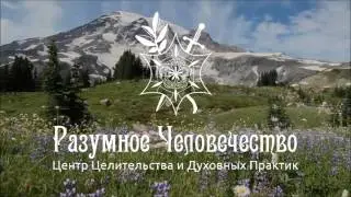 Женщины Говорят Полезные Вещи