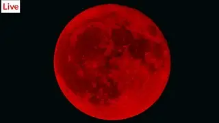 Live Hunter Full Supermoon (Blood Moon)