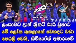 new zealand vs afghanistan T20 world cup 2024 highlights report| new zealand early trouble super 8