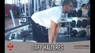 Stiff halteres - execução exercício