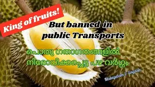 Banned fruit in Public transports.. പൊതു ഗതാഗതങ്ങളിൽ നിരോധിക്കപ്പെട്ട പഴ വർഗ്ഗം...