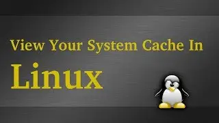 How to View Your System Cache Info in Linux