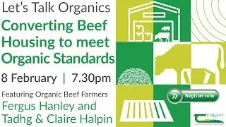 Let's Talk Organics - Converting beef housing to meet organic standards