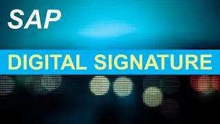 Digital Signature in SAP | How to perform Signature in SAP | SAP Demo #sapwithik