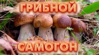 ГРИБНАЯ НАСТОЙКА С ГРЕЧИХОЙ