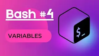 Bash #4 - working with variables (with challenge)