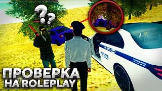 ЕСТЬ ЛИ RP НА АМАЗИНГЕ? ПРОВЕРКА ИГРОКОВ НА РП! АМАЗИНГ РП В GTA CRMP