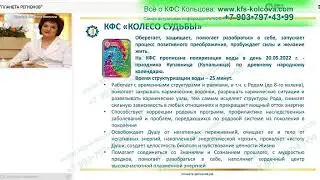 Радькова Л.И. 2022-08-08 «Новый КФС Элитной серии «КОЛЕСО СУДЬБЫ»