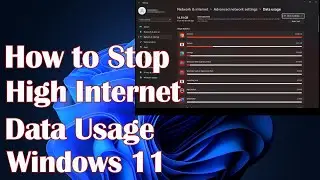 How to Stop High Internet Data Usage Windows 11