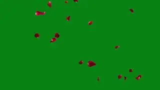 Rose petals falling green screen effects animations | Rose flowers Petals Chroma key