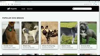 DogInfo-App | Laravel-7 and Vue-Js