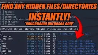 GOBUSTER Is The Best Tool For Kali Linux Directory Busting!