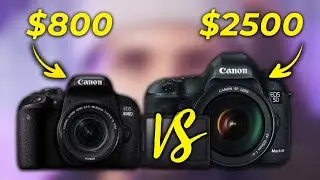 BEST Canon Camera For Twitch? EOS 5D Mark 3 vs EOS 800D