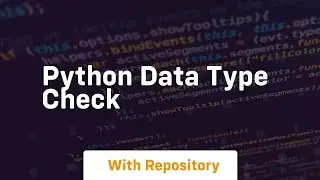 python data type check