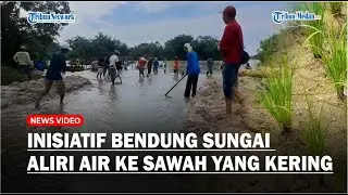 Petani di Desa Sukaraja Batubara Inisiatif Bendung Sungai untuk Aliri Air ke Sawah yang Kering