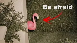 Blender horror(?) Archviz Animation : Don't Trust The FLAMINGOS