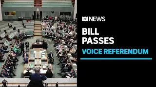 Indigenous Voice to Parliament referendum bill passes lower house | ABC News