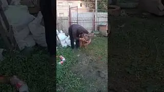 Рубрика📽 