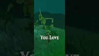 What Your Favorite Zelda Weapon Say About you! (2)