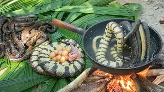 Cooking Snakes In The Forest Eating So Delicious