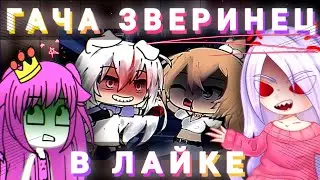 💀❌️ТРЕШ ПОДБОРКИ С ЛАЙКА ЭТО...❌️💀