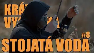 KRÁTKÁ VYCHÁZKA #15 - STOJATÁ VODA